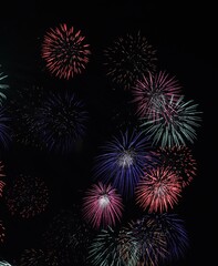 綺麗な花火