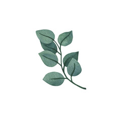 round eucalyptus clipart for wedding invitations, wreath, borders, greenery decoration. Simple, modern, watercolor illustrations. Isolated on white background.