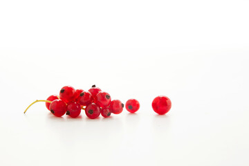 One red brunch of currant on white background