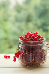 Handful of red currants in an open glass jar on nature background
