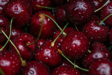 Sweet red cherry berries in drops of water. The tails are green. The freshness of fruits and berries. They lie tightly to each other