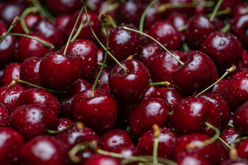 Sweet red cherry berries in drops of water. The tails are green. The freshness of fruits and berries. They lie tightly to each other