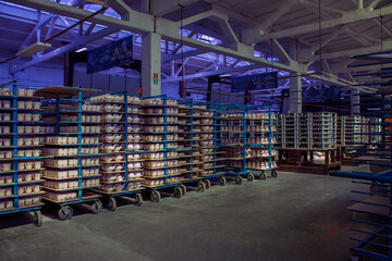 Porcelain white blanks of mugs standing in rows on metal racks in the production shop at a ceramic factory in the Moscow region