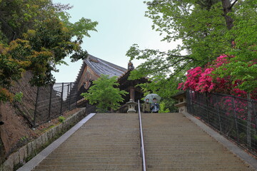 大徳寺　広島　日本
