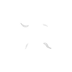 feather icon