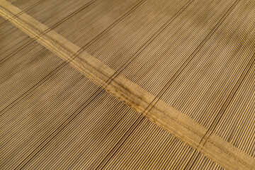 High-quality cultivated soil for planting agricultural crops.