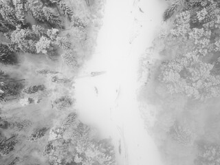 Winter landscape with forest river and snowy trees, aerial view, black and white