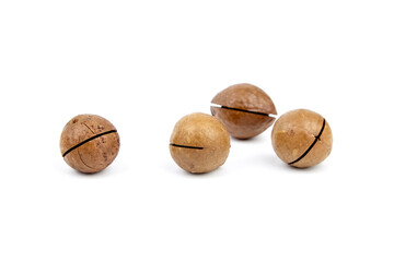 Roasted macadamia nuts in shell isolated on white background. Unshelled macadamia nuts