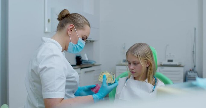 A little girl is sitting in the dentist's chair and looking at a female orthodontist who is standing next to her and showing a jaw model with crooked teeth with a bracket system and ceramic model.