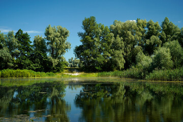 Fototapeta na wymiar Summer lake in the forest 