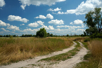 Summer countryside, clouds over the field      