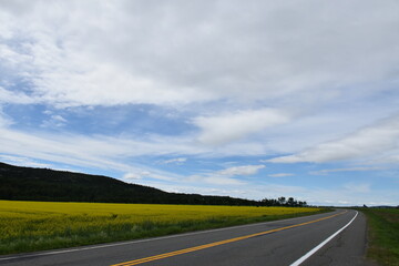 The road crosses a field under a cloudy sky, Québec, Canada