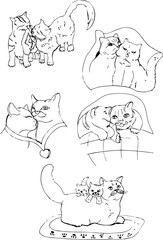 Vector scetch illustration of cute cats. Print with funny cats. Kitten in graphic