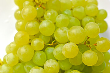 Green juicy delicious grapes on a white plate