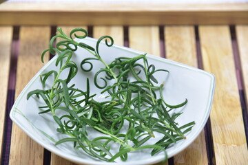  항균 · 살균 작용이 뛰어나며 보습 효과에도 좋은,차로 마시면 좋은 로즈마리