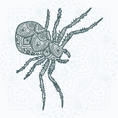 Spider Mandala Vector. Vintage decorative elements. Oriental pattern,