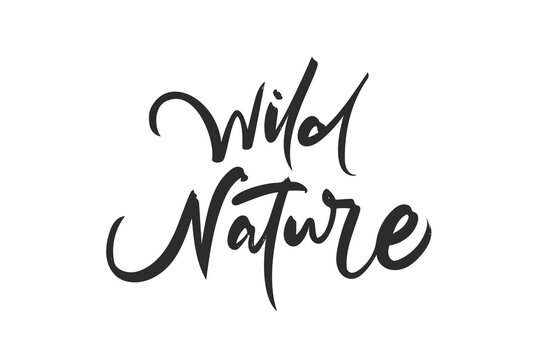 Handwritten brush lettering of Wild Nature on white background.