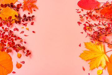 Mock up for a greeting card on a pink background. Red and yellow autumn leaves of barberry, maple and scumpia with copy space.