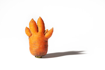 Human palm shaped carrot isolated on white background