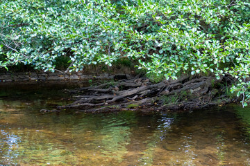 Fluß Oos entlang der Lichtentaler Allee in Baden-Baden