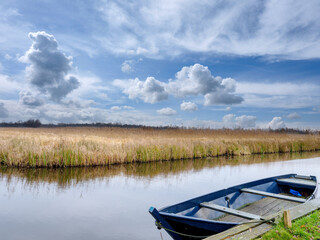 Obraz premium Natuurgebied Steenwijkerland, Overijssel Province, The Netherlands || Steenwijkerland Nature Reserve, Overijssle Province, The Netherlands