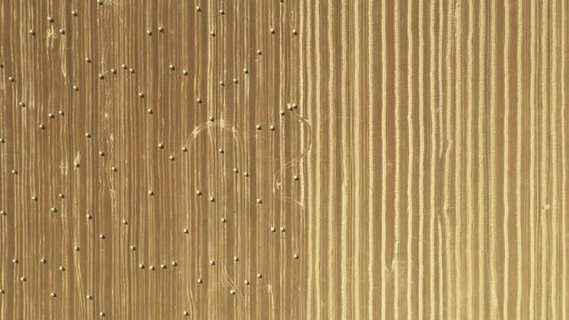 Above top view, dolly move of agricultural field with round bales of straw, after harvesting cereal prepared for farming stack.