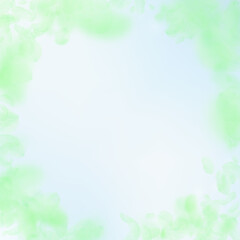 Green flower petals falling down. Bold romantic fl