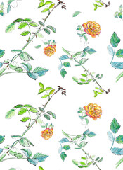 Obraz premium Ornament of roses on a white background