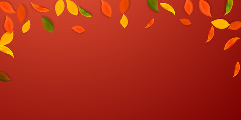 Falling autumn leaves. Red, yellow, green, brown n