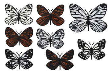 Fototapeta na wymiar Butterflies outlines silhouette with leather and fur texture. Hot summer clip art. Safari set on white 