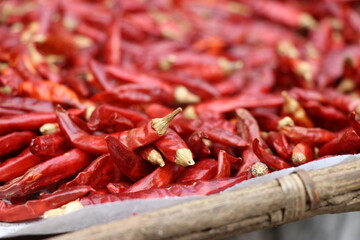 Dried red chili selectively focused. It is the most useful cooking spice.Dried red chili or chilli cayenne pepper.