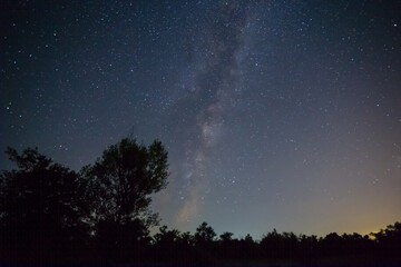 Fototapeta na wymiar night starry sky above forest silhouette