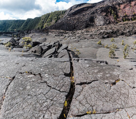 Cracks In The Hardened Lava From Ancient Lava Flows On The Floor of Kilauea Iki Crater, Hawaii Volcanoes National Park, Hawaii Island, Hawaii, USA © Billy McDonald
