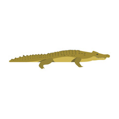 Nile crocodile. isolated illustration