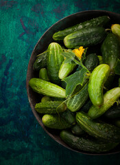 Fresh cucumbers in vintage metal bowl on dark green background