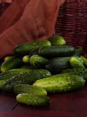 Fresh cucumbers on the table