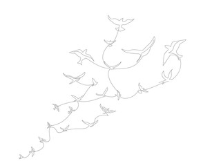 Fototapeta na wymiar continuous line drawing with A flock of flying birds. Freedom Line art. Black and White vector design