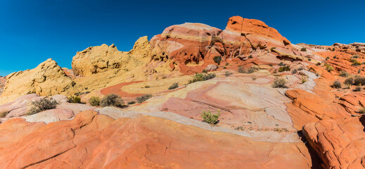Multi Colored Sandstone Formations The Slick Rock, Valley of Fire State Park, Nevada, USA