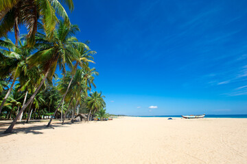 Fototapeta premium tropical beach in Sri Lanka . Summer holiday and vacation concept for tourism.