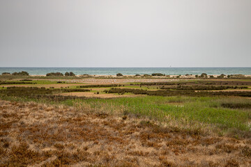 View from Mirador de la Desembocadura, Delta del Llobreat, El Prat, Catalonia, Spain