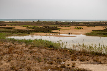 View from Mirador de la Desembocadura, Delta del Llobreat, El Prat, Catalonia, Spain