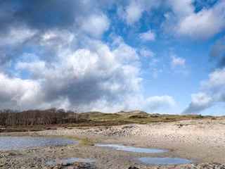 Foto op Plexiglas Schoorlse duinen, Noord-Holland Province, The Netherlands © Holland-PhotostockNL