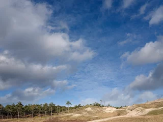 Muurstickers Schoorlse duinen, Noord-Holland Province, The Netherlands © Holland-PhotostockNL