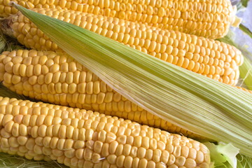 corn on the cob