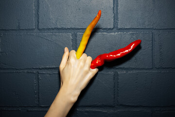 Picture of female hand, holding two red chilli peppers between fingers.