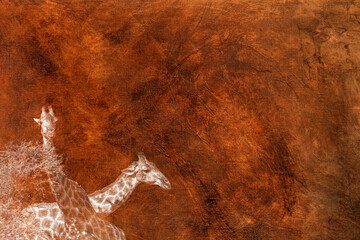 Giraffe in Kruger National park, South Africa