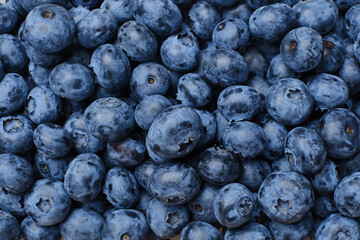 Fresh blueberries background. Macro texture of blueberry berries. Summer healthy food.Selective focus
