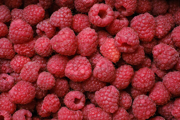 Ripe raspberry background, close up. Selective focus
