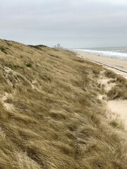 beach and dunes