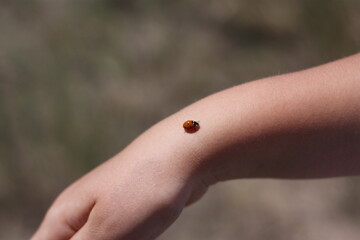 person holding a stone on a hand